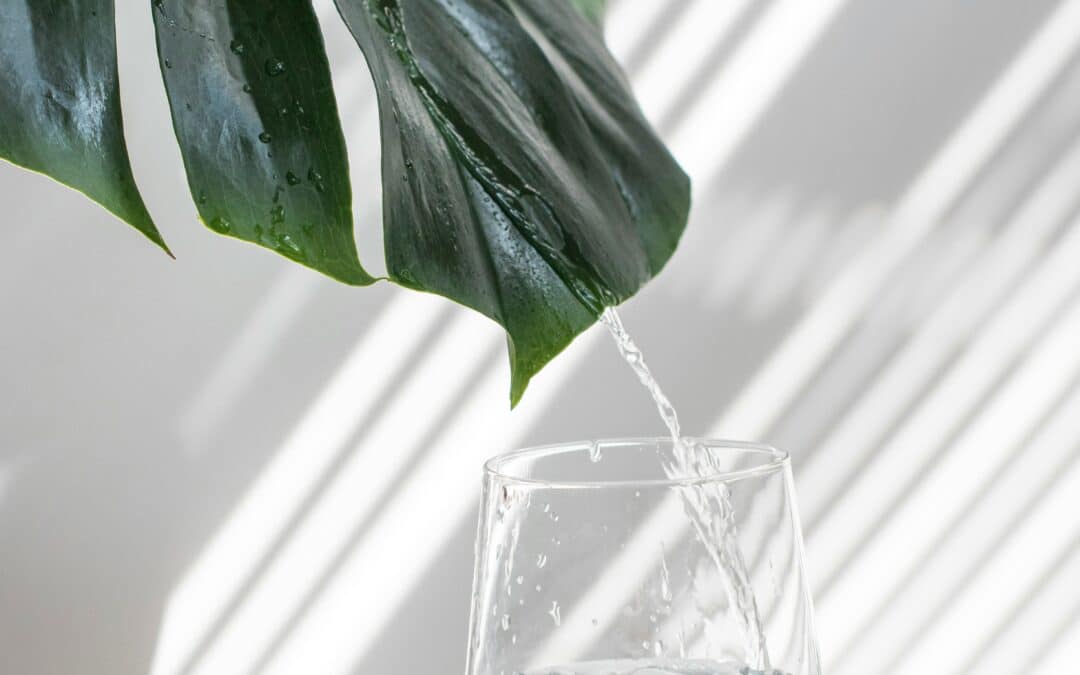 Unlocking the Secrets of Fascia: The Hidden Emotional Reservoir of the Human Body