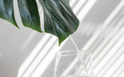 Blog 1 Unlocking the Secrets of Fascia: The Hidden Emotional Reservoir of the Human Body